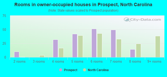 Rooms in owner-occupied houses in Prospect, North Carolina