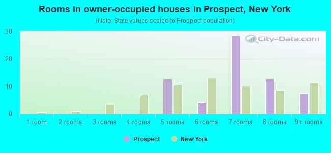 Rooms in owner-occupied houses in Prospect, New York