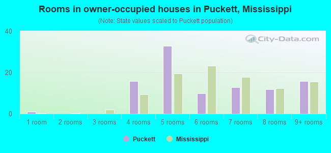Rooms in owner-occupied houses in Puckett, Mississippi