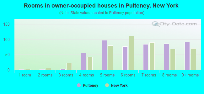 Rooms in owner-occupied houses in Pulteney, New York