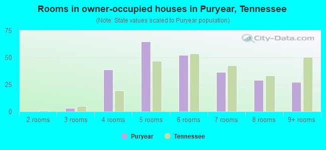 Rooms in owner-occupied houses in Puryear, Tennessee