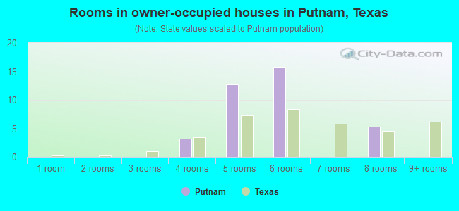 Rooms in owner-occupied houses in Putnam, Texas