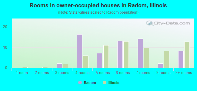Rooms in owner-occupied houses in Radom, Illinois