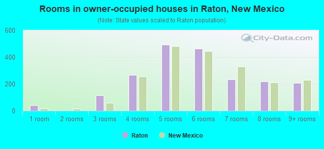 Rooms in owner-occupied houses in Raton, New Mexico