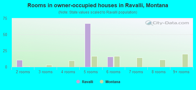 Rooms in owner-occupied houses in Ravalli, Montana