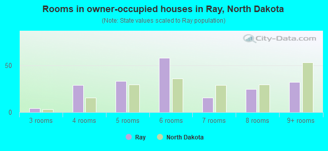 Rooms in owner-occupied houses in Ray, North Dakota