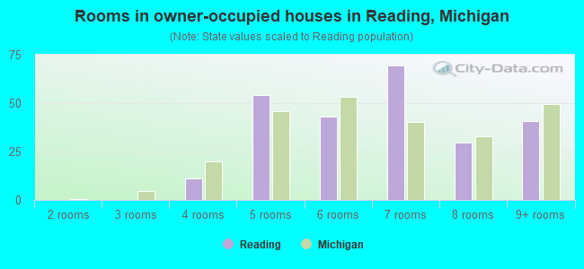 Rooms in owner-occupied houses in Reading, Michigan