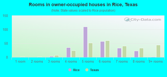 Rooms in owner-occupied houses in Rice, Texas