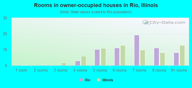 Rooms in owner-occupied houses in Rio, Illinois