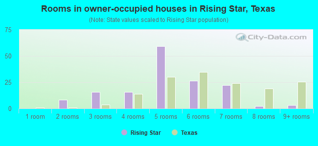 Rooms in owner-occupied houses in Rising Star, Texas