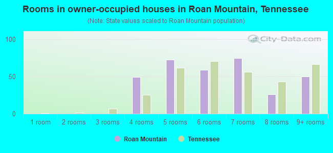 Rooms in owner-occupied houses in Roan Mountain, Tennessee