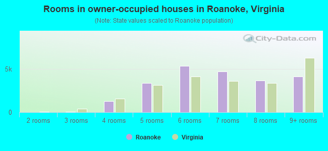 Rooms in owner-occupied houses in Roanoke, Virginia