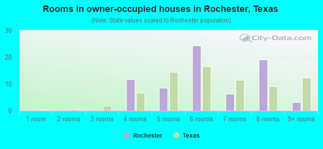 Rooms in owner-occupied houses in Rochester, Texas