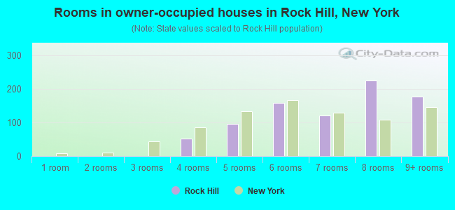 Rooms in owner-occupied houses in Rock Hill, New York