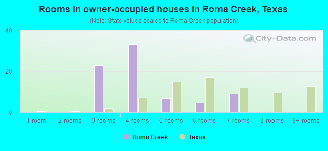 Rooms in owner-occupied houses in Roma Creek, Texas