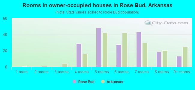 Rooms in owner-occupied houses in Rose Bud, Arkansas