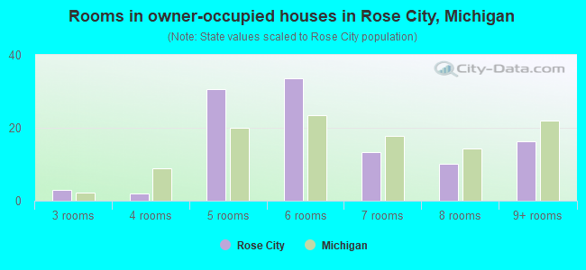 Rooms in owner-occupied houses in Rose City, Michigan