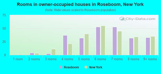 Rooms in owner-occupied houses in Roseboom, New York