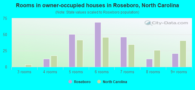 Rooms in owner-occupied houses in Roseboro, North Carolina