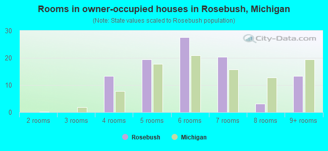 Rooms in owner-occupied houses in Rosebush, Michigan