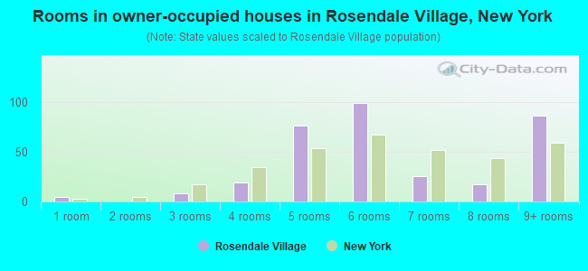 Rooms in owner-occupied houses in Rosendale Village, New York