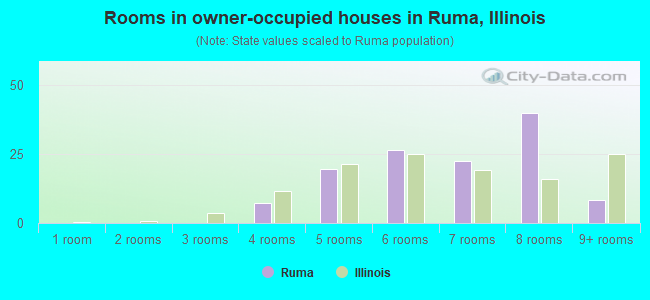 Rooms in owner-occupied houses in Ruma, Illinois