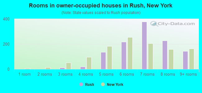 Rooms in owner-occupied houses in Rush, New York