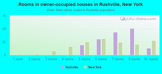 Rooms in owner-occupied houses in Rushville, New York