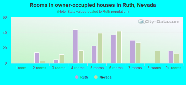 Rooms in owner-occupied houses in Ruth, Nevada