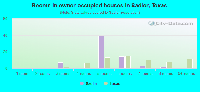 Rooms in owner-occupied houses in Sadler, Texas