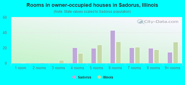 Rooms in owner-occupied houses in Sadorus, Illinois