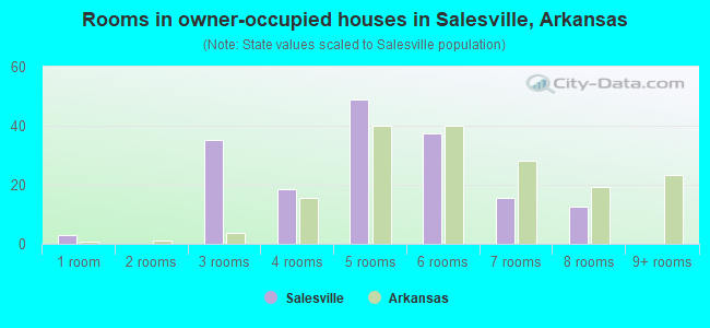 Rooms in owner-occupied houses in Salesville, Arkansas