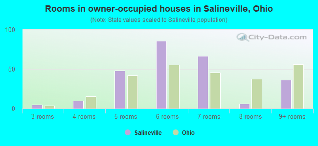 Rooms in owner-occupied houses in Salineville, Ohio