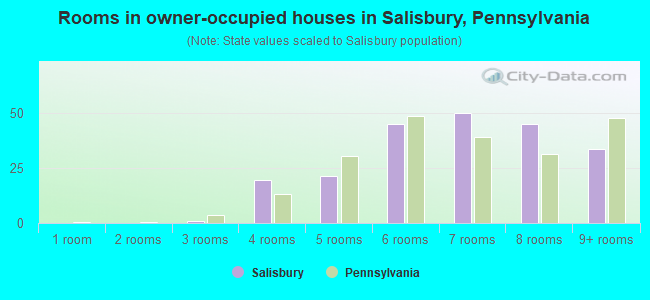 Rooms in owner-occupied houses in Salisbury, Pennsylvania