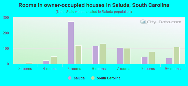 Rooms in owner-occupied houses in Saluda, South Carolina
