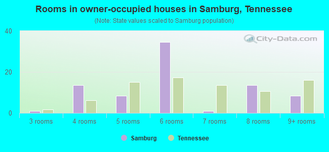 Rooms in owner-occupied houses in Samburg, Tennessee