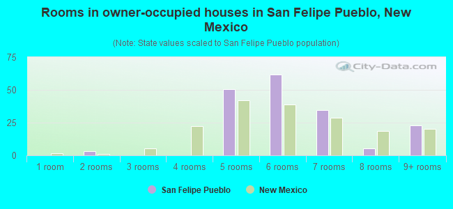 Rooms in owner-occupied houses in San Felipe Pueblo, New Mexico