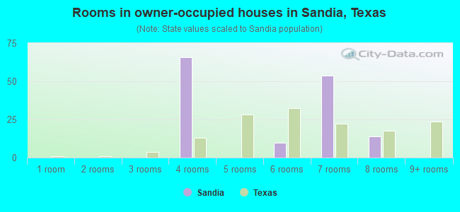 Rooms in owner-occupied houses in Sandia, Texas