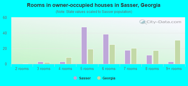 Rooms in owner-occupied houses in Sasser, Georgia