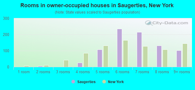 Rooms in owner-occupied houses in Saugerties, New York