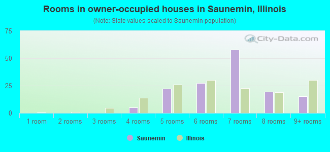 Rooms in owner-occupied houses in Saunemin, Illinois
