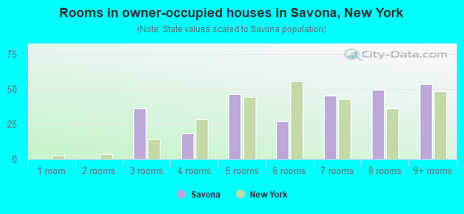 Rooms in owner-occupied houses in Savona, New York