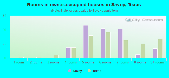 Rooms in owner-occupied houses in Savoy, Texas