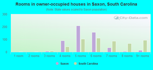 Rooms in owner-occupied houses in Saxon, South Carolina