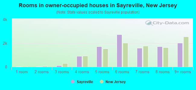 Rooms in owner-occupied houses in Sayreville, New Jersey