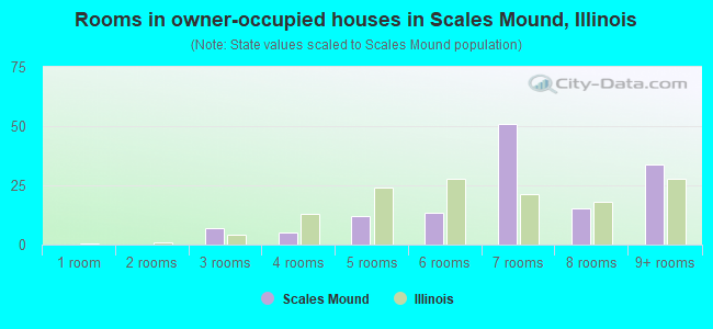 Rooms in owner-occupied houses in Scales Mound, Illinois