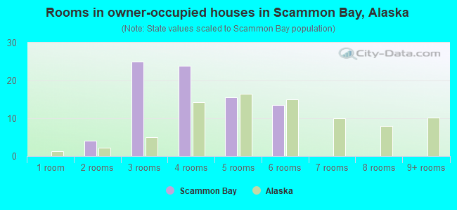 Rooms in owner-occupied houses in Scammon Bay, Alaska