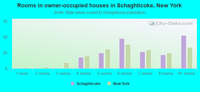 Rooms in owner-occupied houses in Schaghticoke, New York