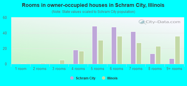 Rooms in owner-occupied houses in Schram City, Illinois