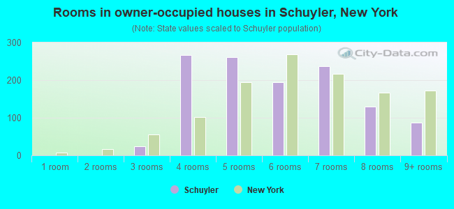 Rooms in owner-occupied houses in Schuyler, New York
